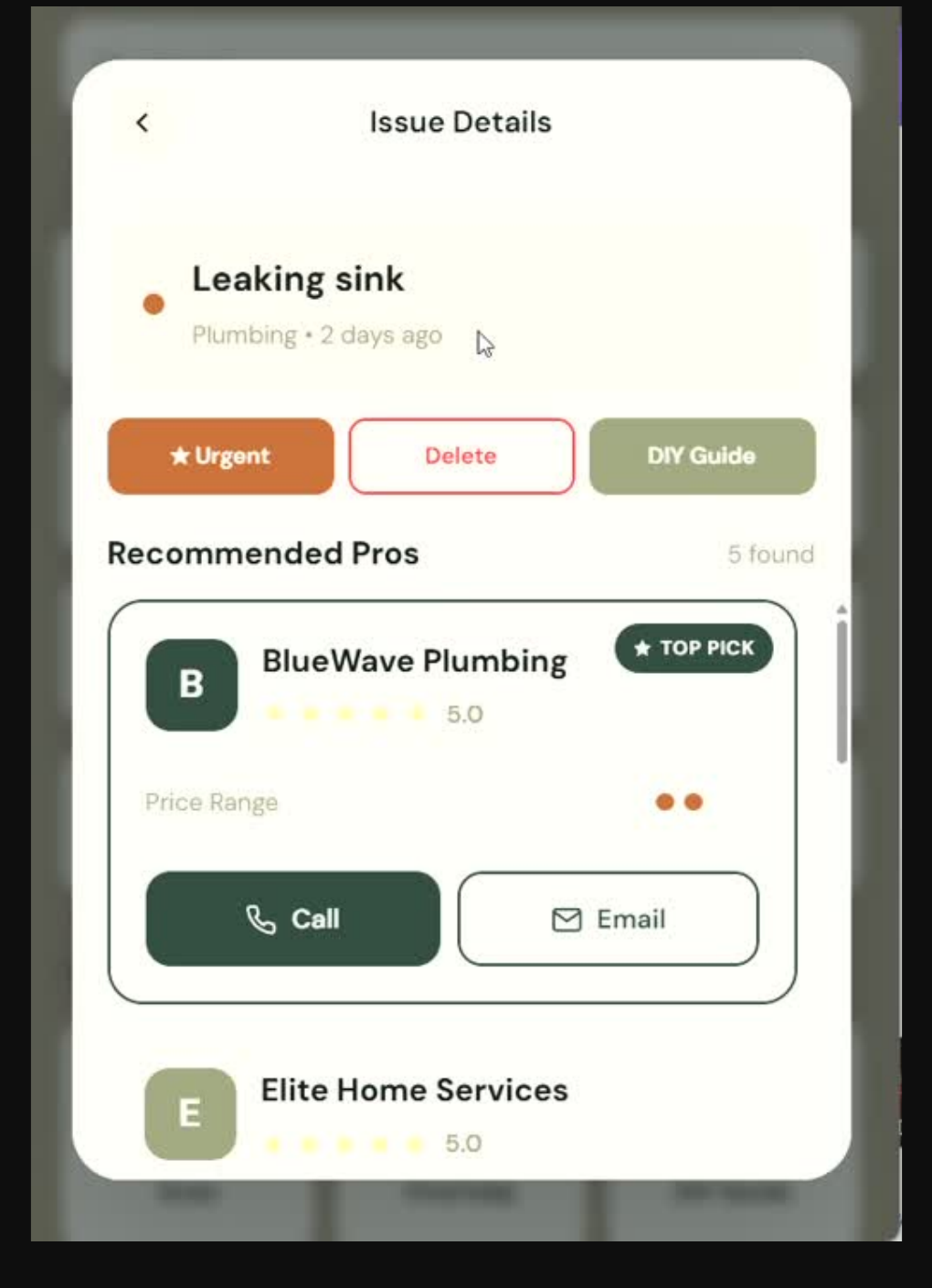 Snap-to-Fix issue details wireframe